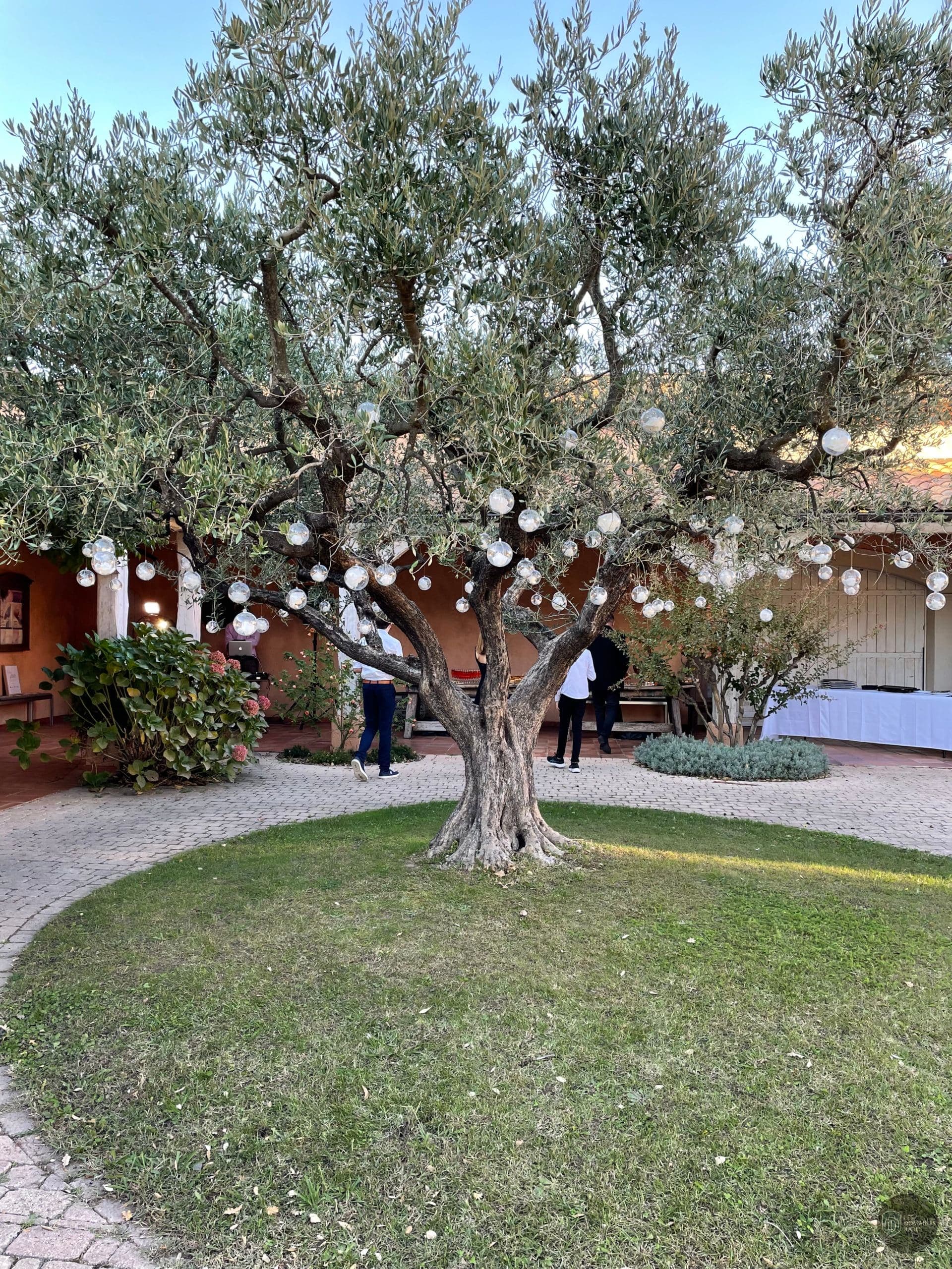 Vue extérieure du domaine Domaine des Planes en Provence-Alpes-Côte d'Azur