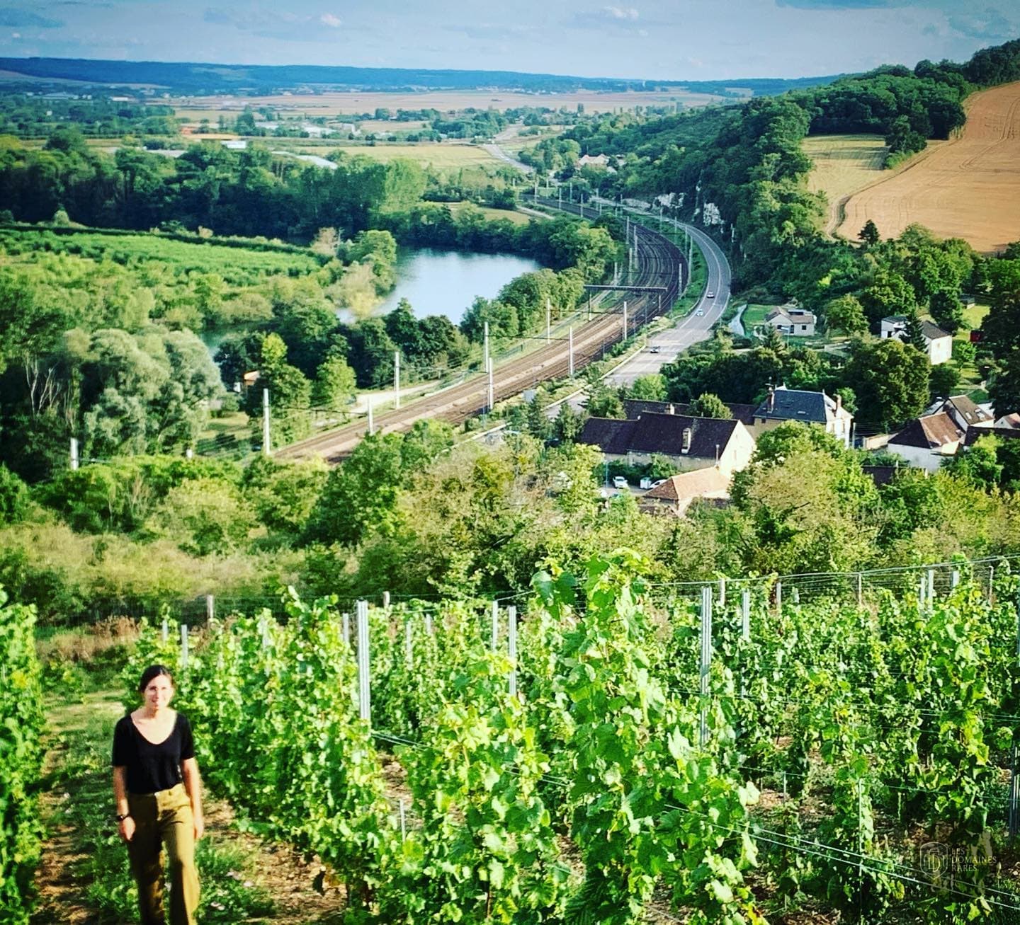 Domaine des Sénons