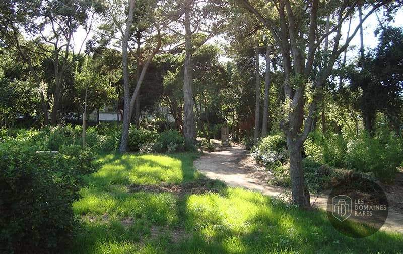 Allée arborée dans le parc