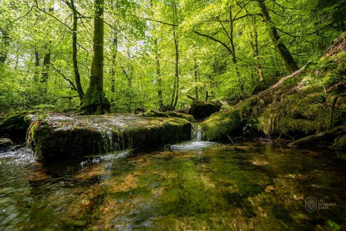 Vue extérieure du domaine Domaine du Moulinet à Le en Occitanie