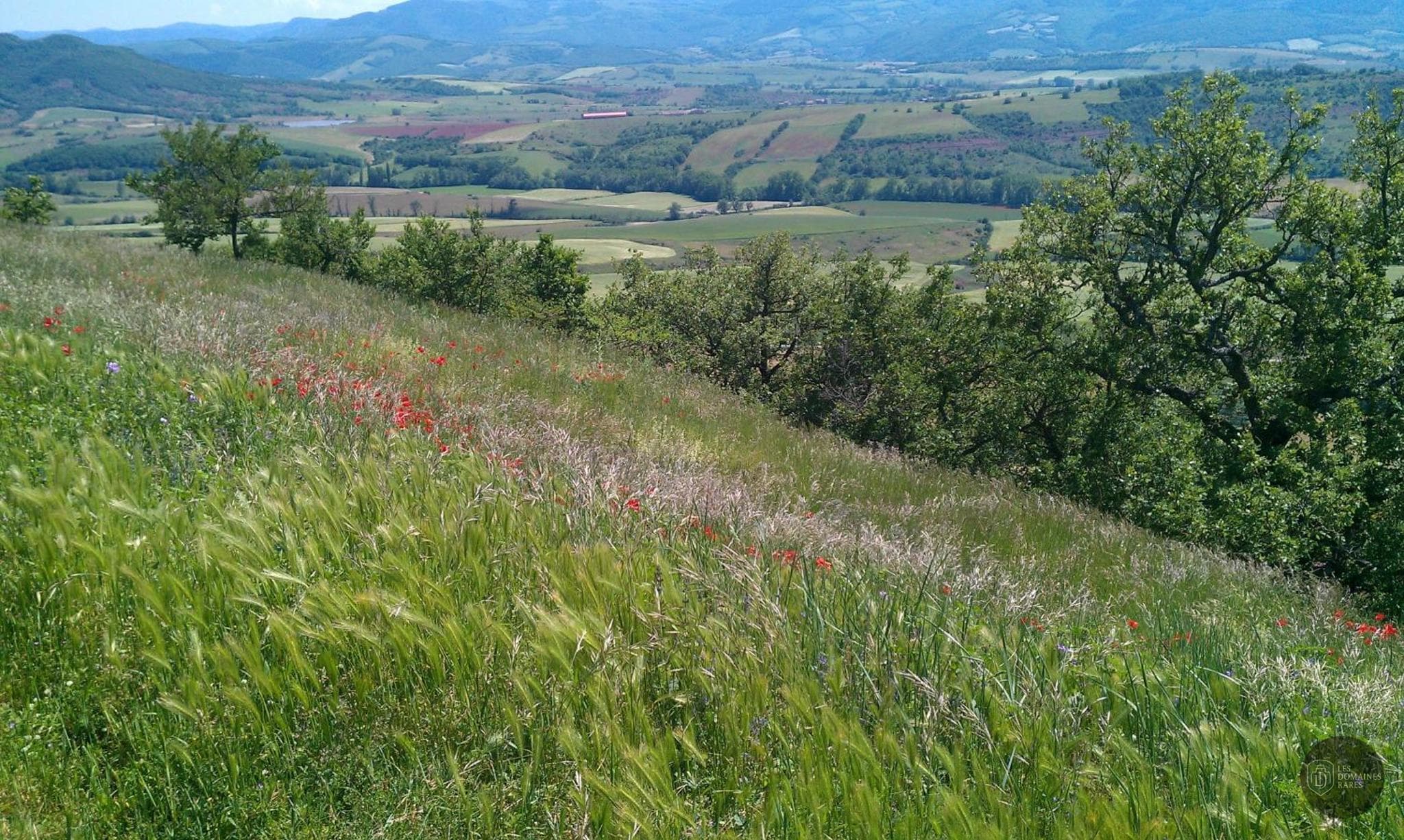 Vue de l'hôtel Domaine du Rougier à Camarès en Occitanie