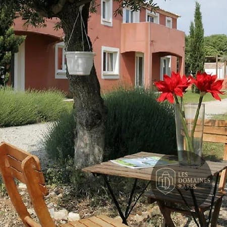 Terrasse ombragée avec table et chaises