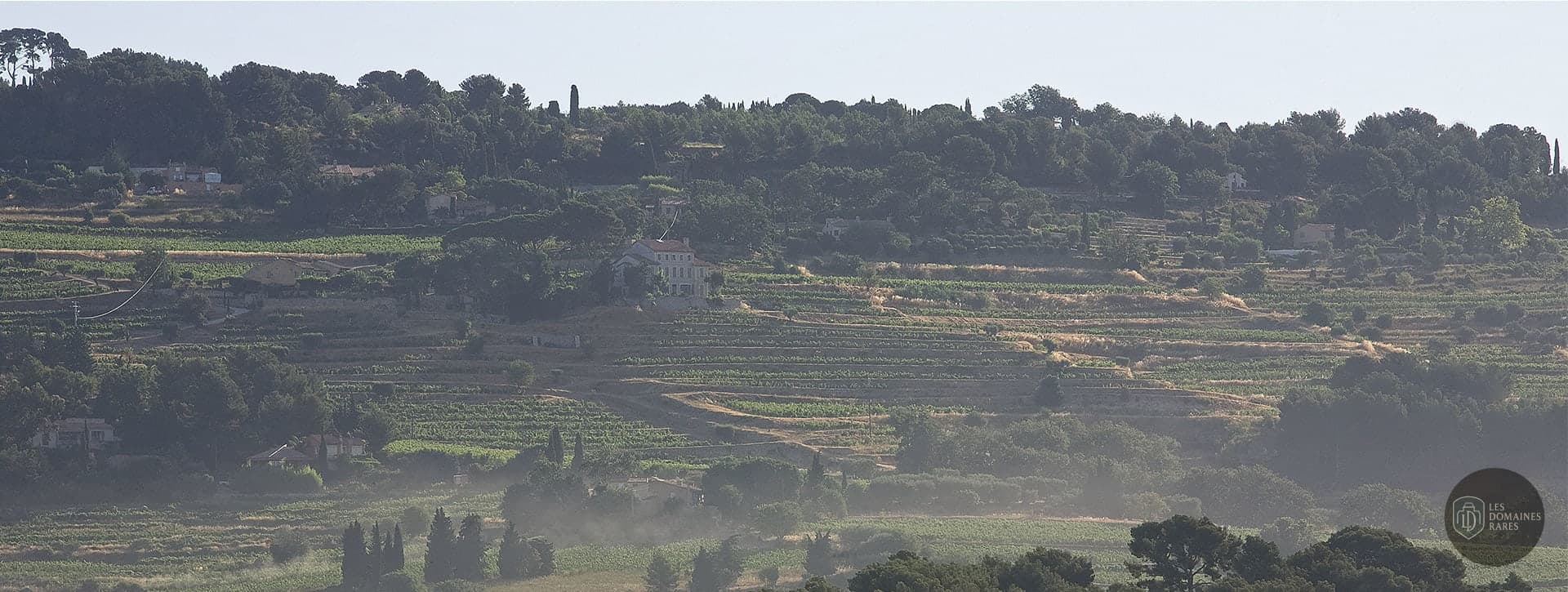 Vue du domaine avec vignes en terrasses
