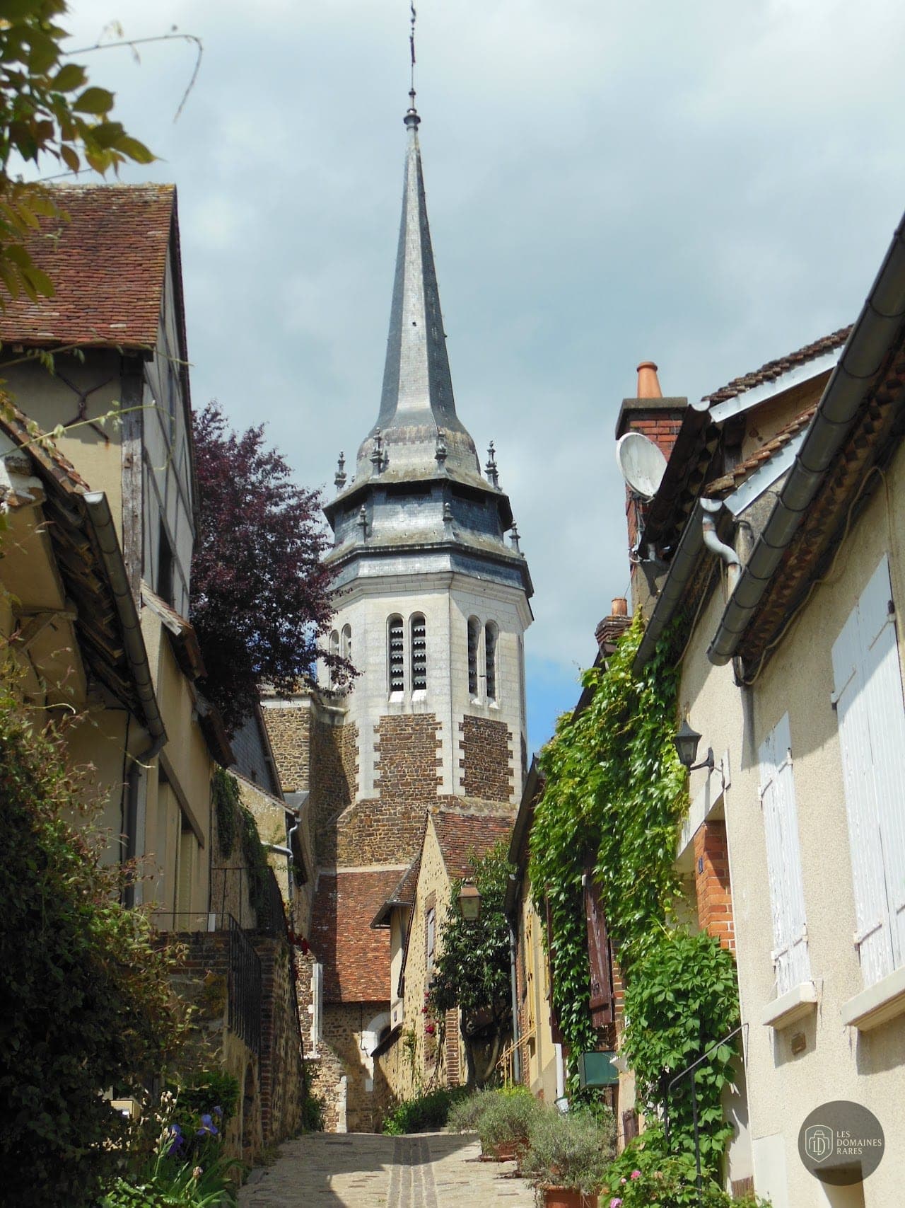 Vue du domaine Ecodomaine des Gilats à Toucy en Bourgogne-Franche-Comté