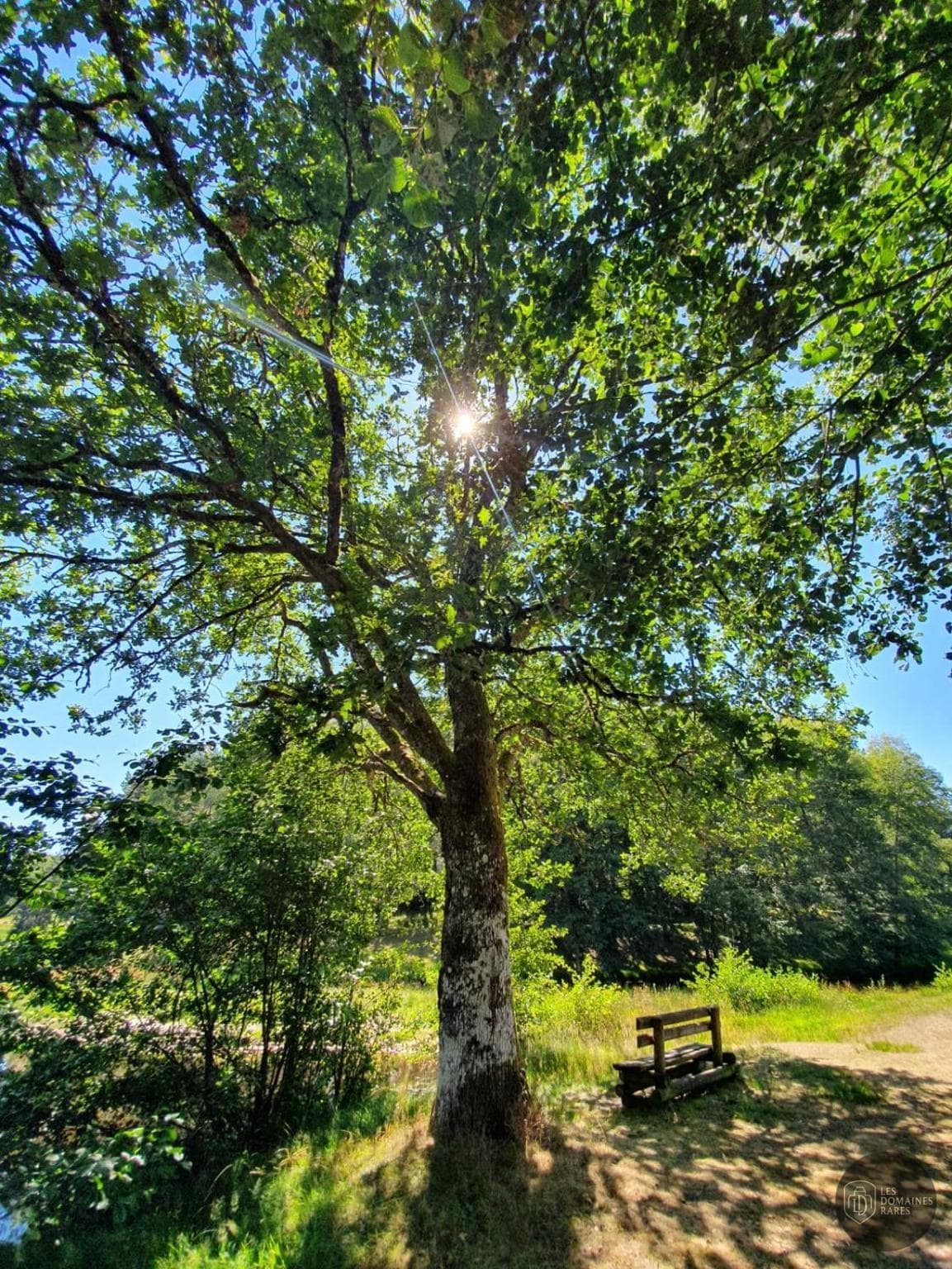 Vue extérieure du lieu Eden Lake en Nouvelle-Aquitaine