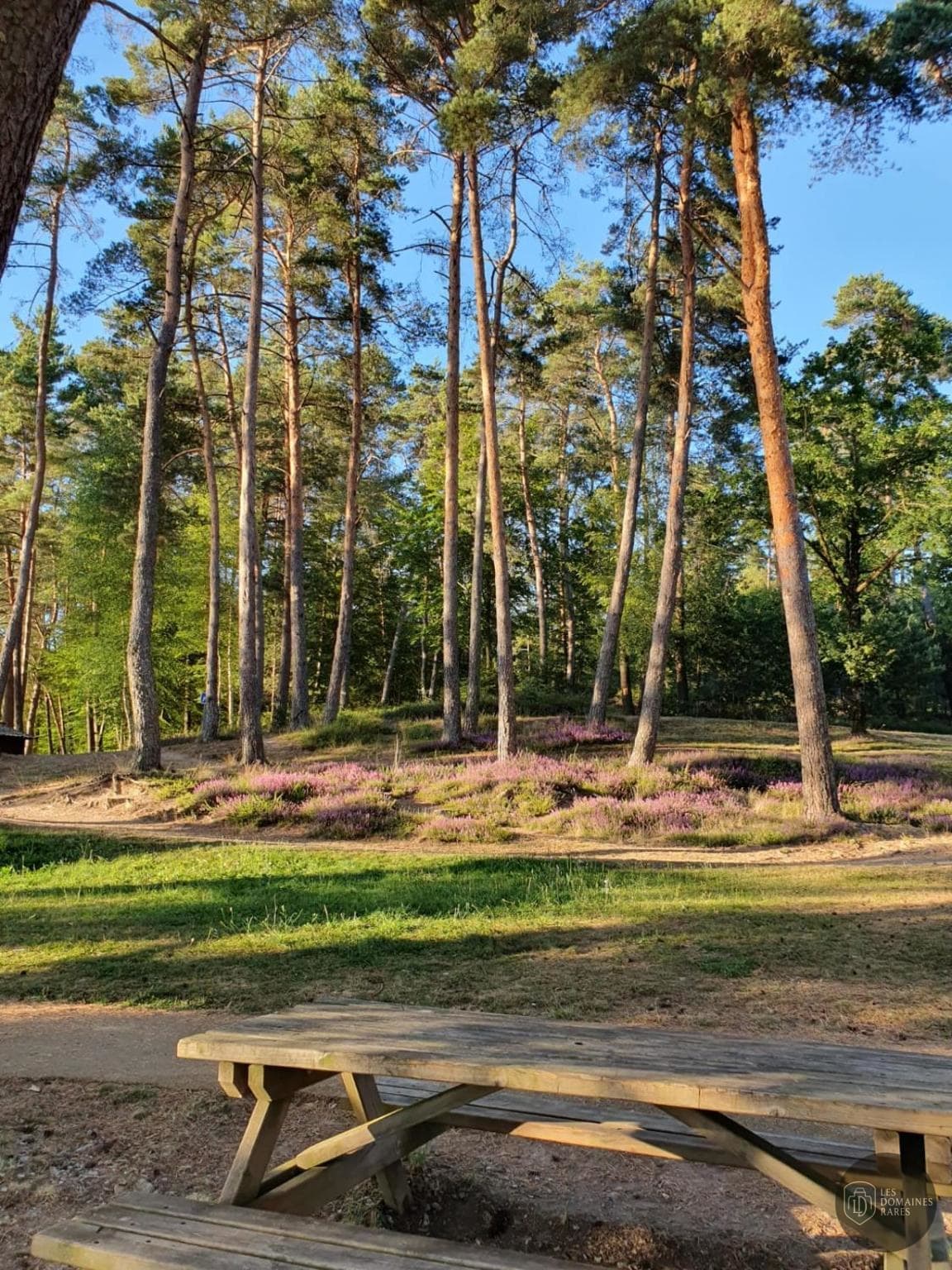 Vue extérieure du lieu Eden Lake en Nouvelle-Aquitaine