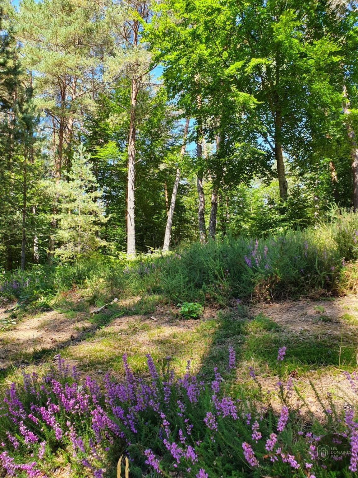 Vue extérieure du lieu Eden Lake en Nouvelle-Aquitaine