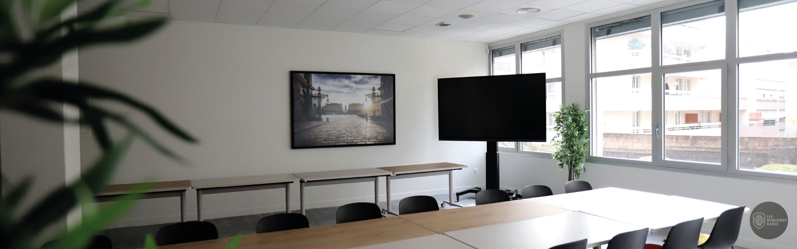 Salle de réunion 9 du lieu Espace Acoris à Nancy en Grand Est
