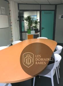 Salle de réunion 7 du lieu Espace le 13 en Auvergne-Rhône-Alpes