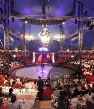 Spectacle devant les convives