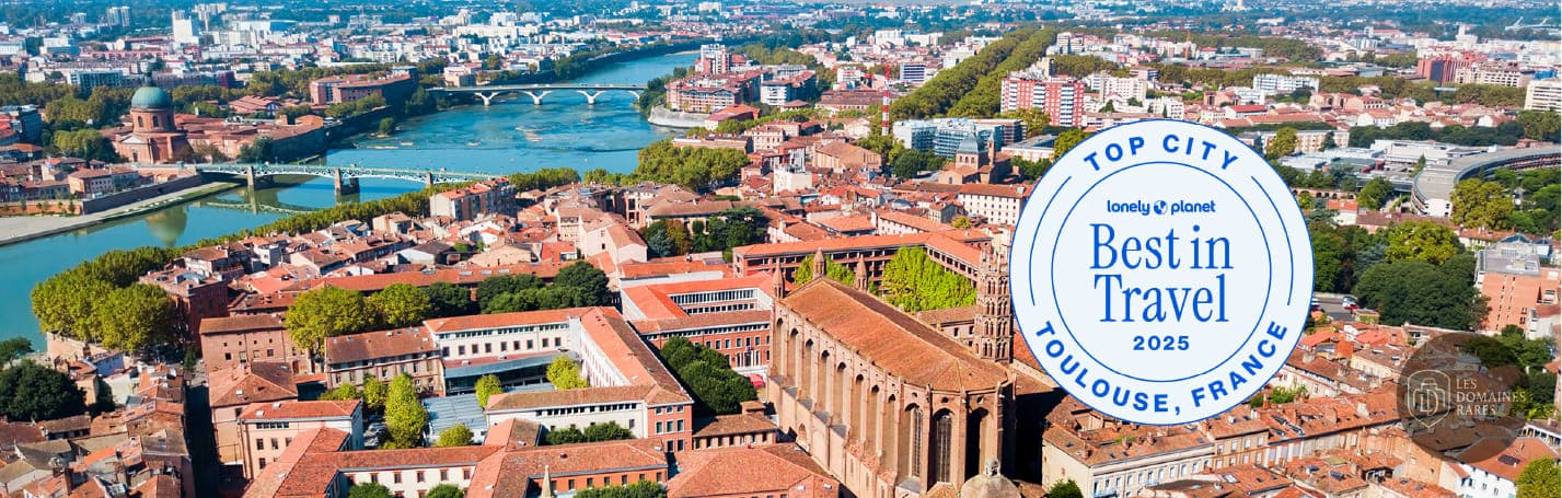 Vue extérieure du salle de séminaire Espaces Vanel à Toulouse en Occitanie