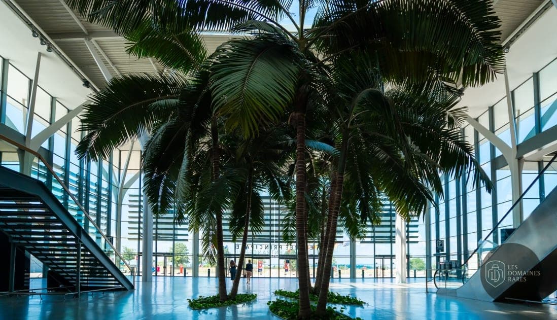 Hall d'entrée avec plantes tropicales