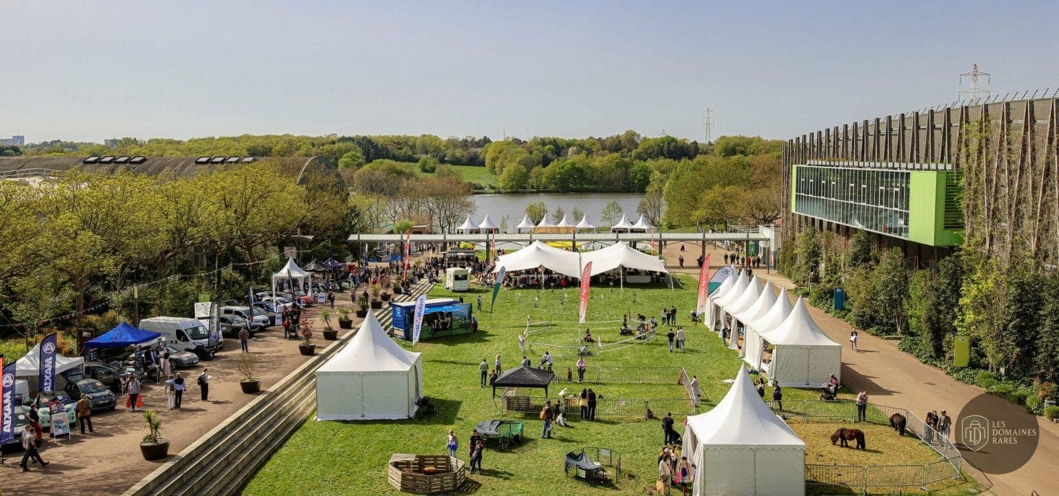 Vue aérienne d'une foire en extérieur