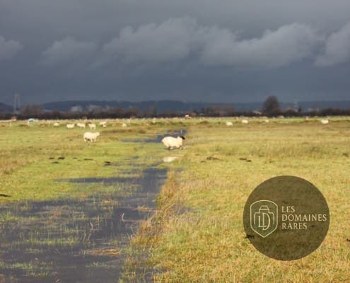 Vue extérieure de la ferme Ferme Modèle en Auvergne-Rhône-Alpes