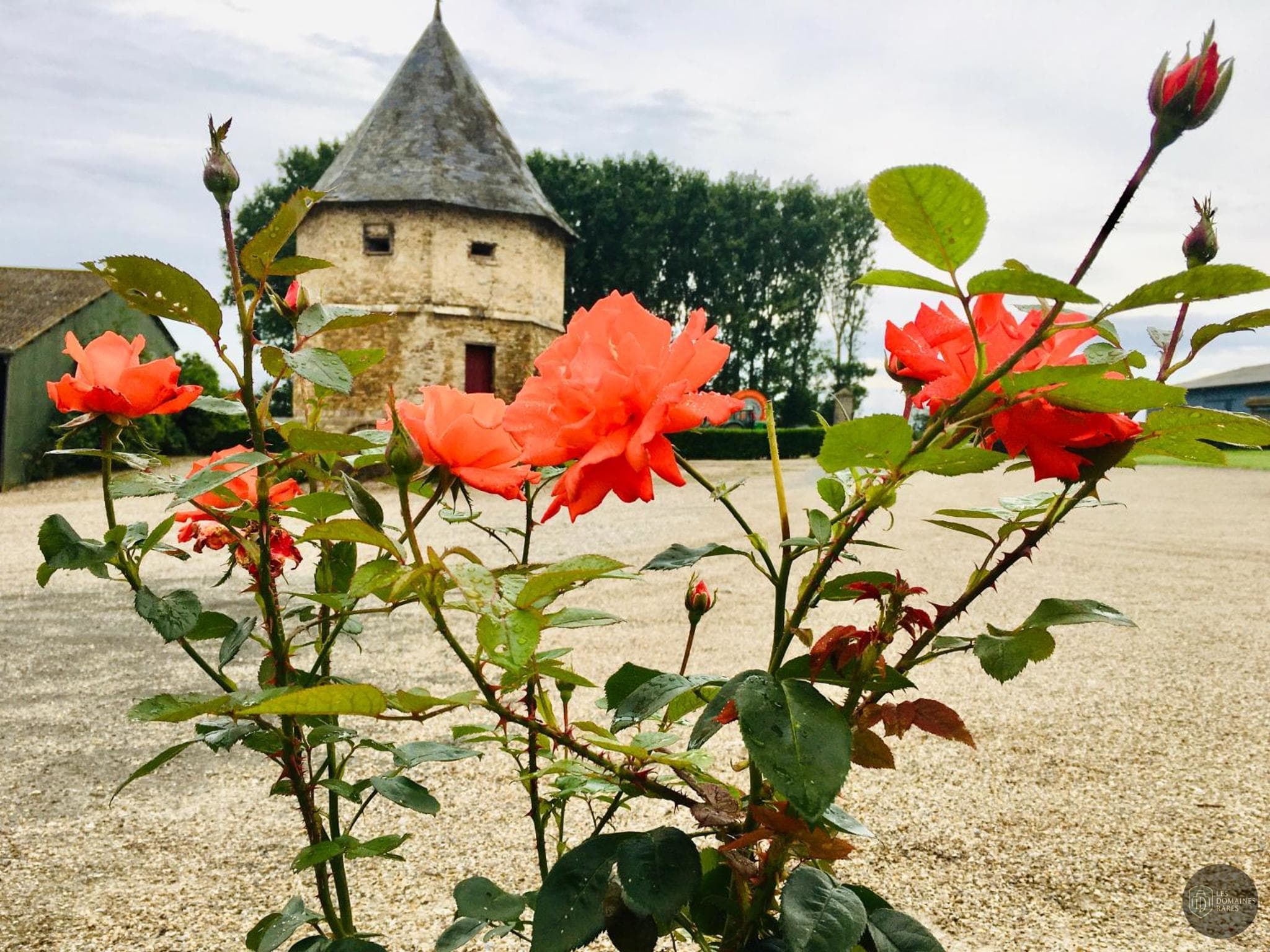 Ferme de Forest — Extérieur