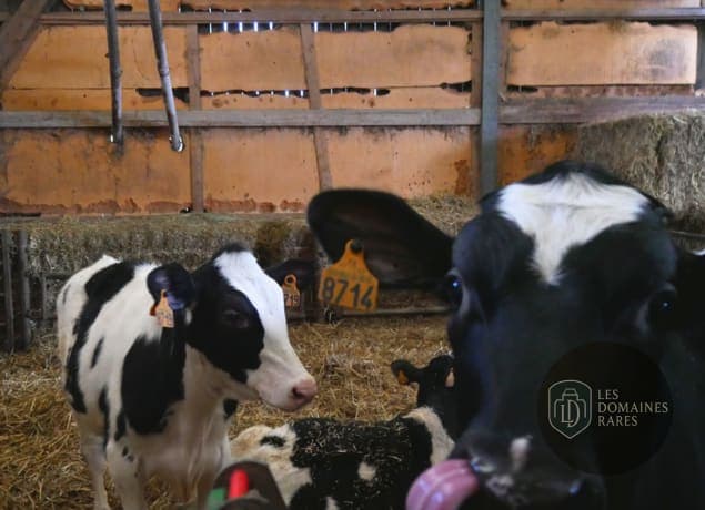 Vue de la ferme Ferme de Mauperthuis à Charny en Île-de-France