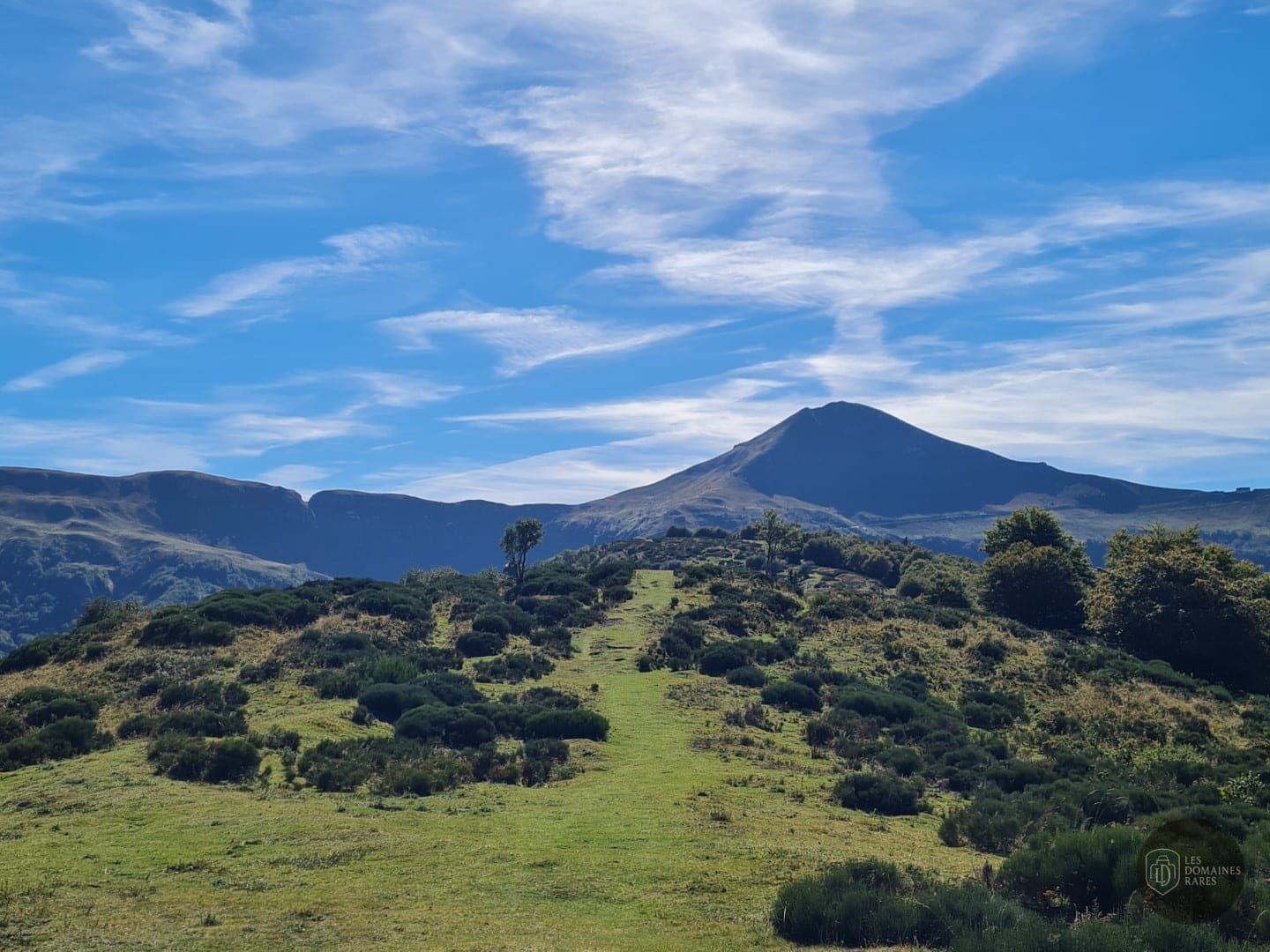 Vue extérieure de la ferme Ferme de Trielle à Thiezac en Auvergne-Rhône-Alpes