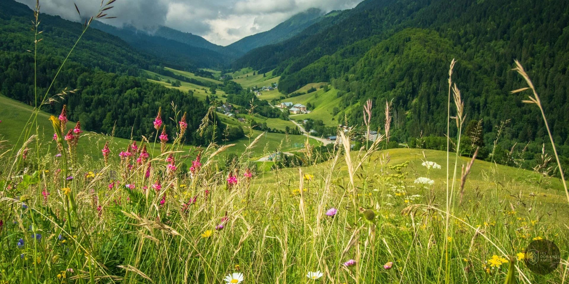 Vue extérieure de la ferme Ferme de la Mense en Auvergne-Rhône-Alpes