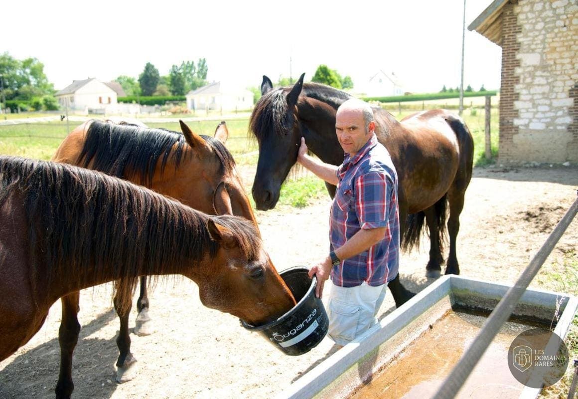 Vue extérieure de la ferme Ferme du Buisson à Plaisir en Île-de-France