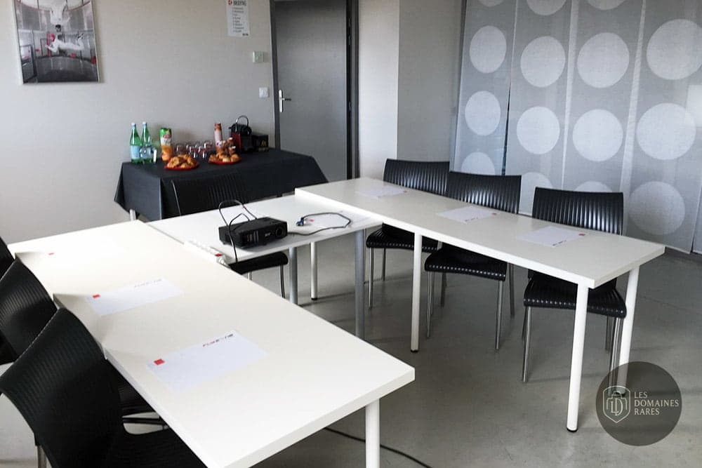 Salle de réunion 3 du moulin Flyzone en Occitanie