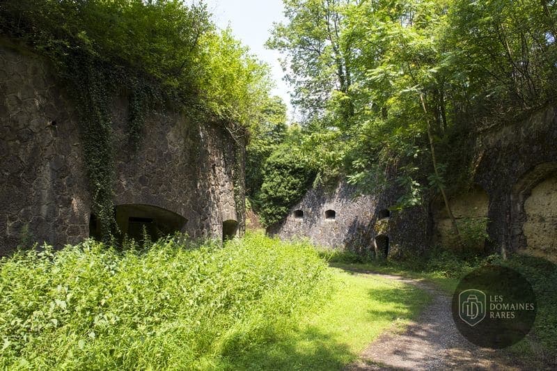 Murs extérieurs et végétation du fort
