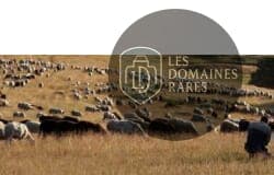 Vue extérieure du lieu Geoparc en Auvergne-Rhône-Alpes