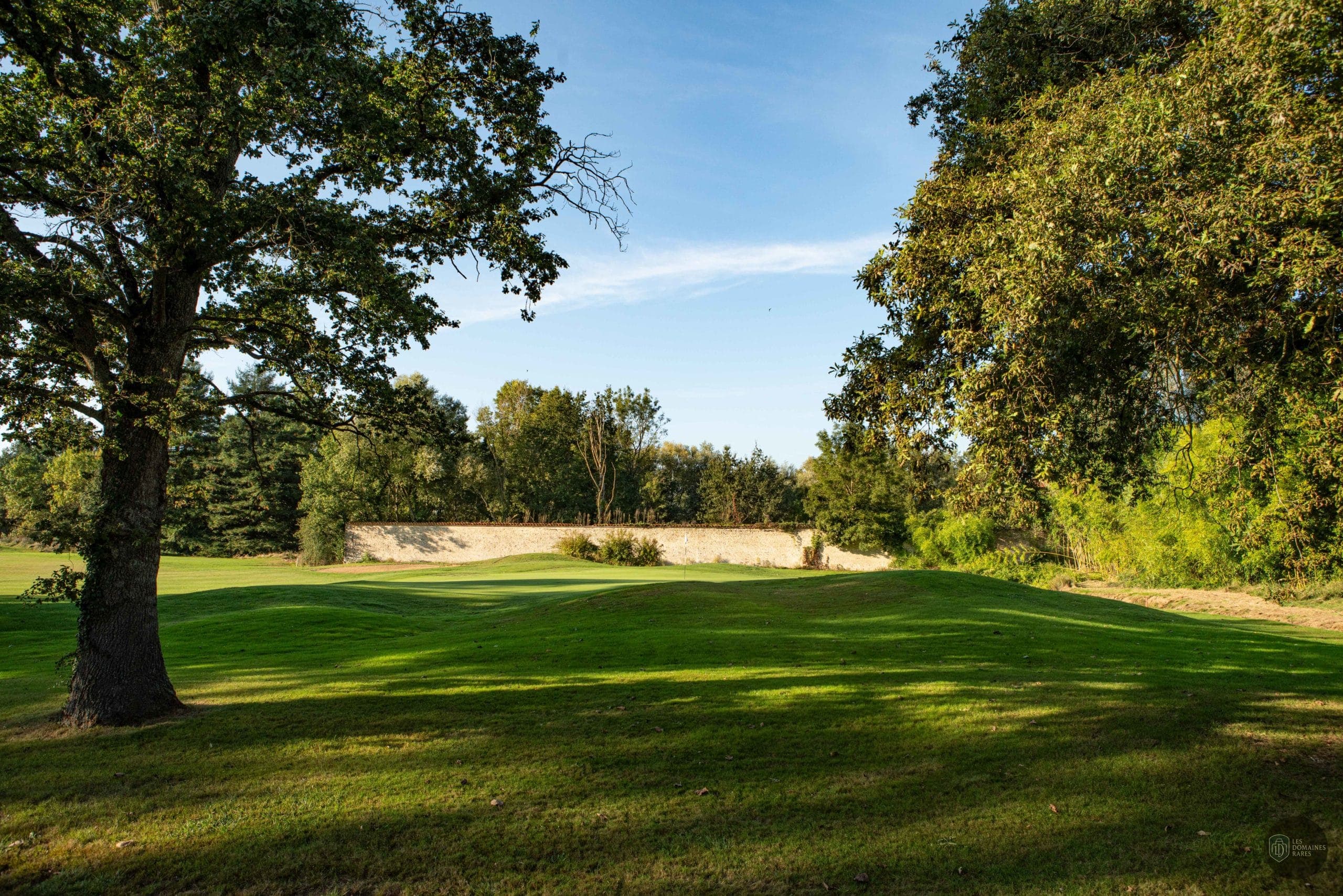 Parcours de golf verdoyant