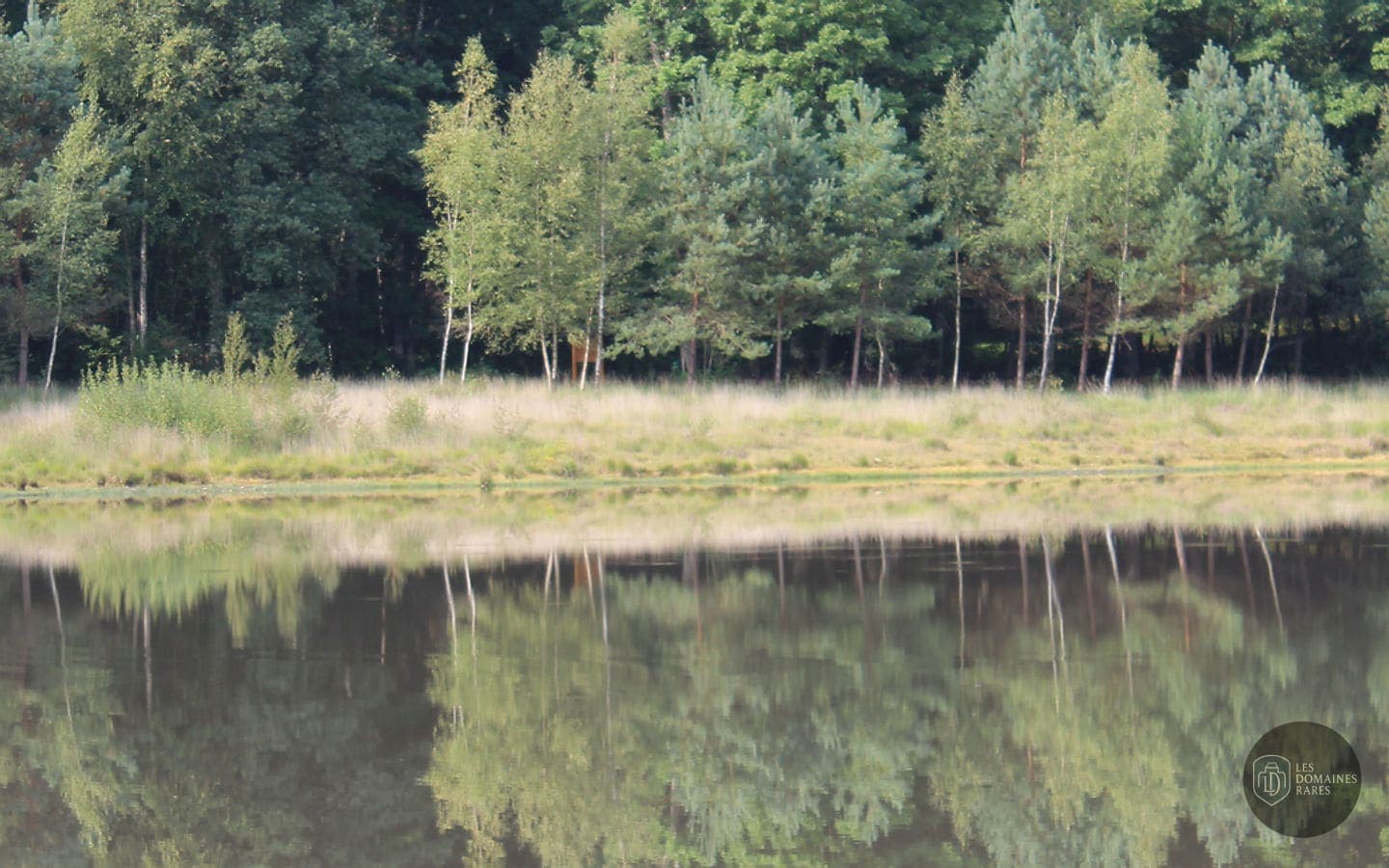 Vue extérieure du lieu Grange des Merciers à Ennordres en Centre-Val de Loire