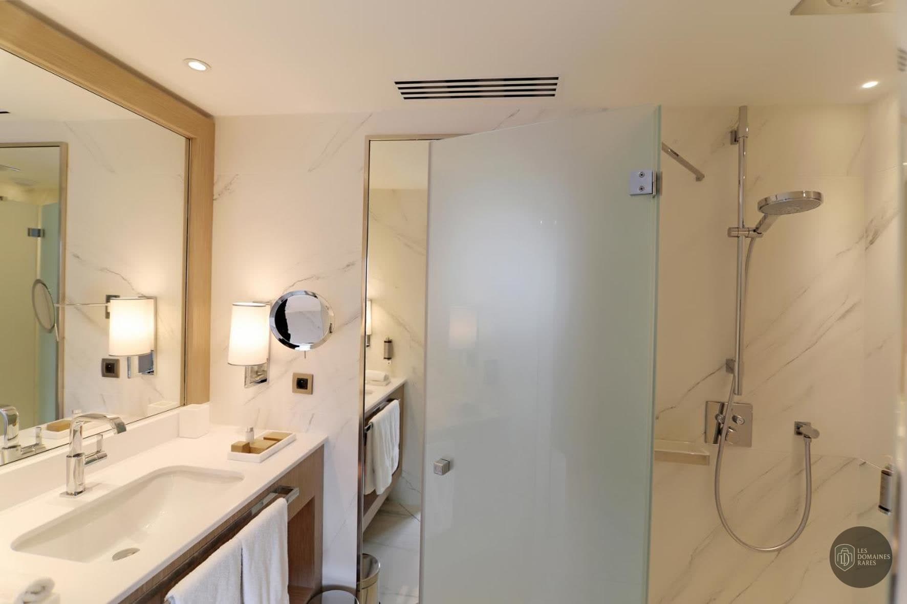 Salle de bain de l'hôtel Hôtel Alchimy à Albi en Occitanie