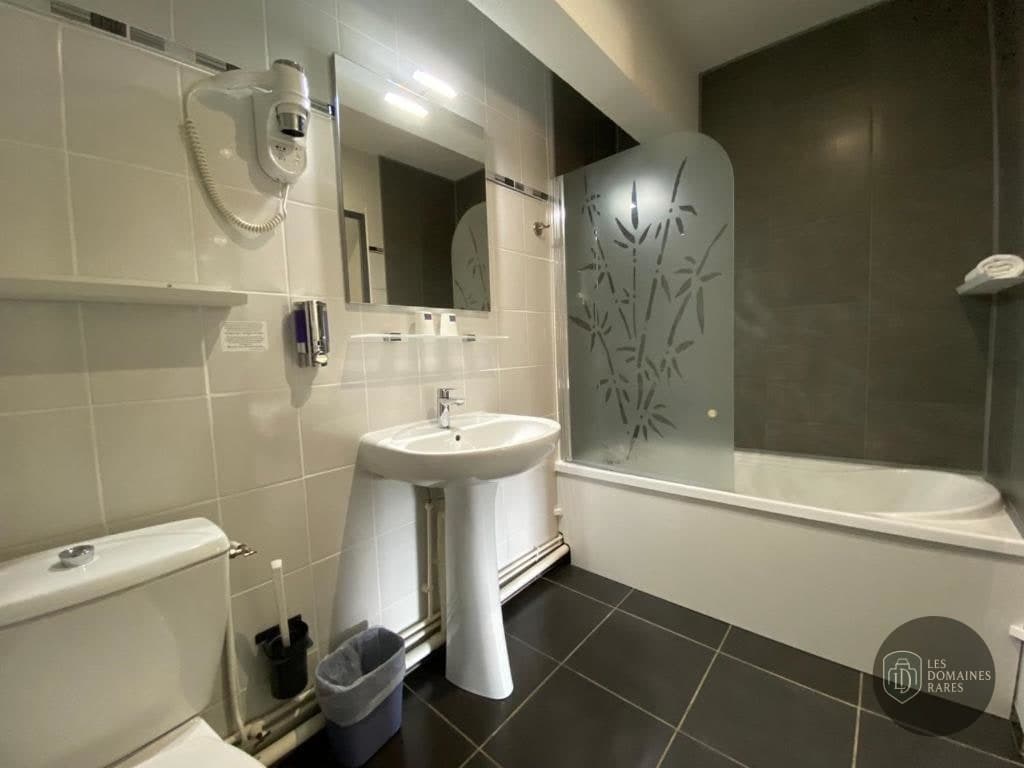 Salle de bain de l'hôtel Hôtel Bagatelle en Grand Est