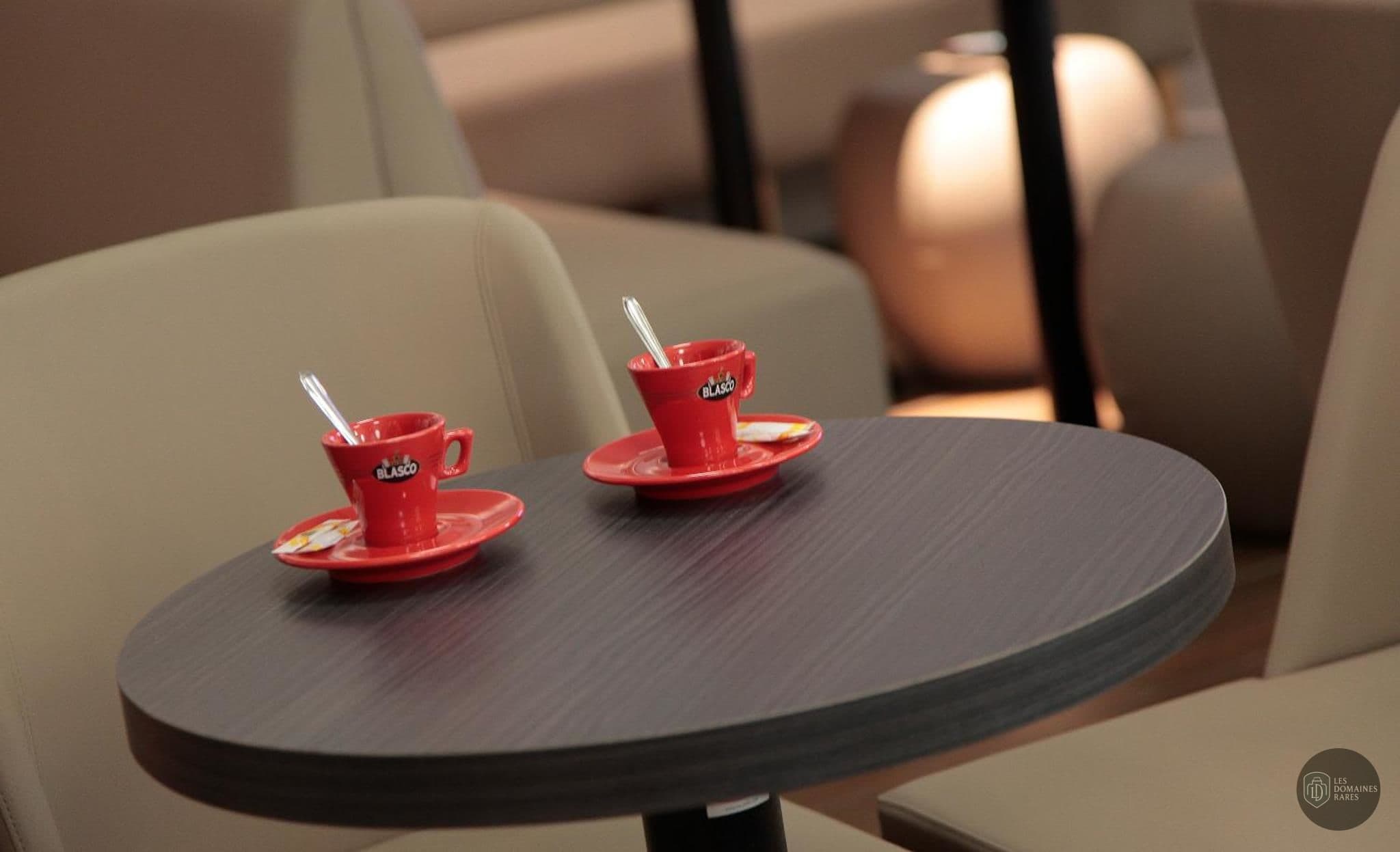 Espace intérieur de l'hôtel Hôtel Beau Site à Talloires en Auvergne-Rhône-Alpes