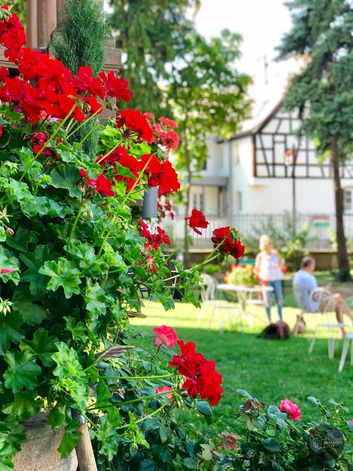 Vue extérieure du manoir Hôtel Le Manoir à Barr en Grand Est