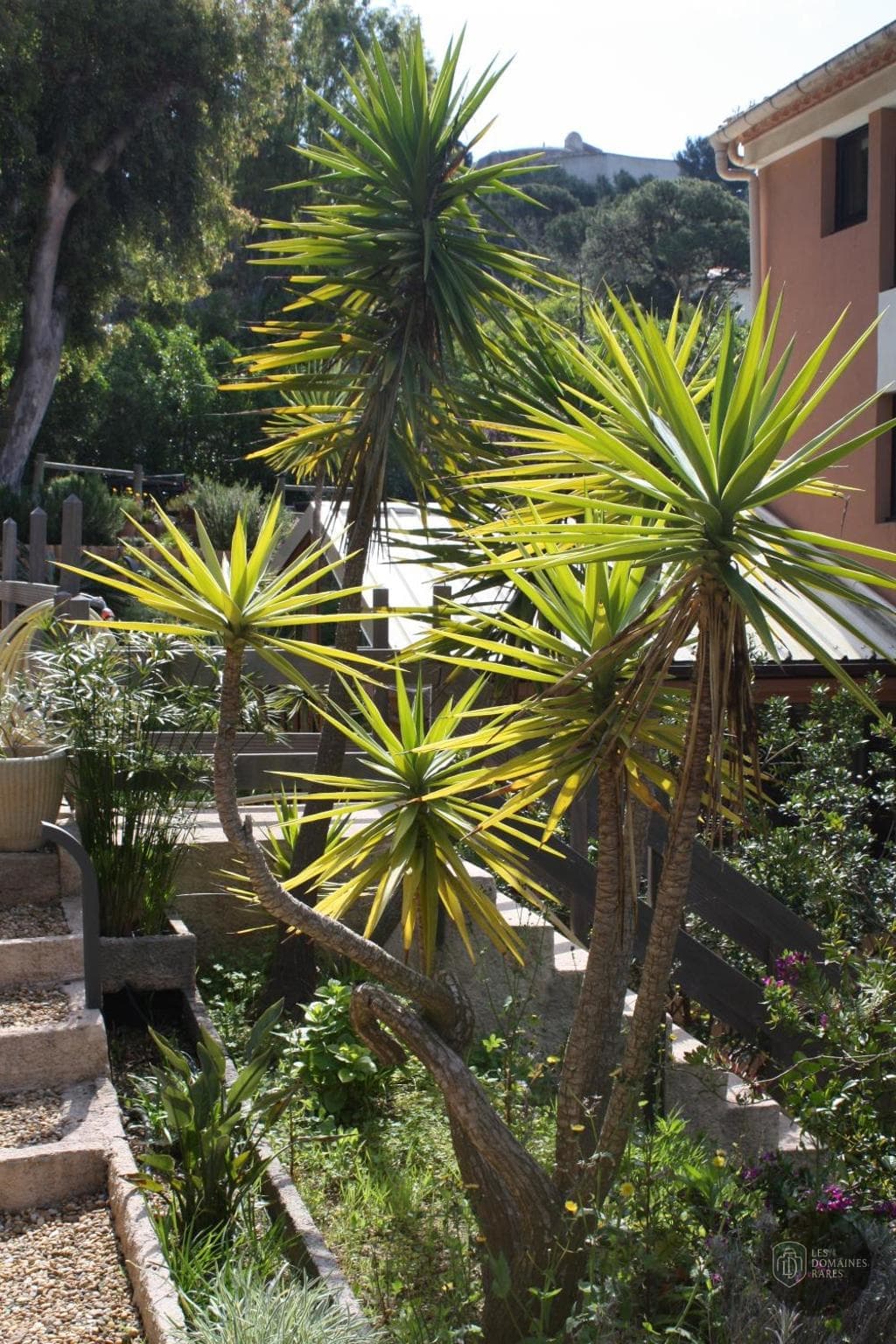Vue extérieure de l'hôtel Hôtel Les Medes à Ile en Provence-Alpes-Côte d'Azur