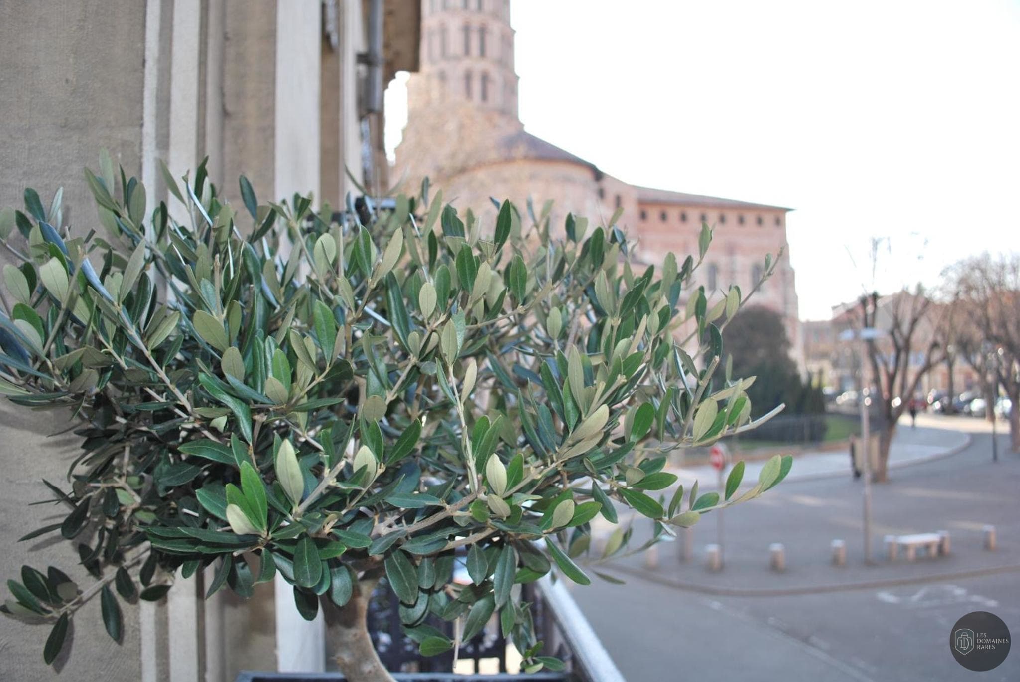 Vue extérieure de l'hôtel Hôtel St Sernin à Toulouse en Occitanie