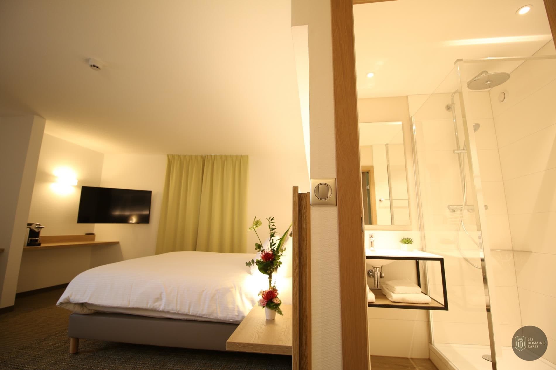 Chambre avec salle de bain ouverte