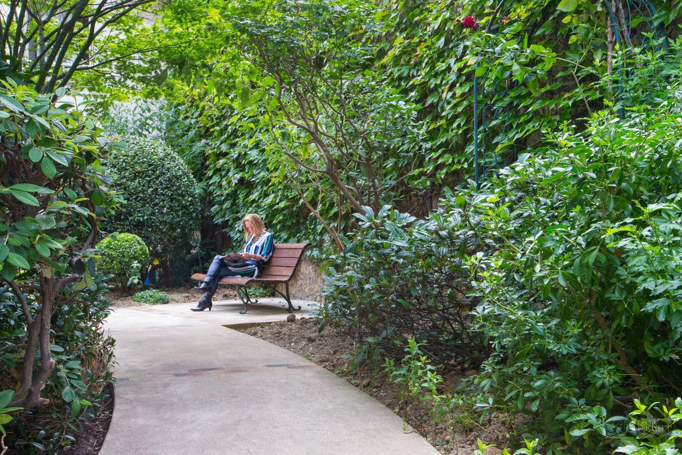 Jardin intérieur avec banc