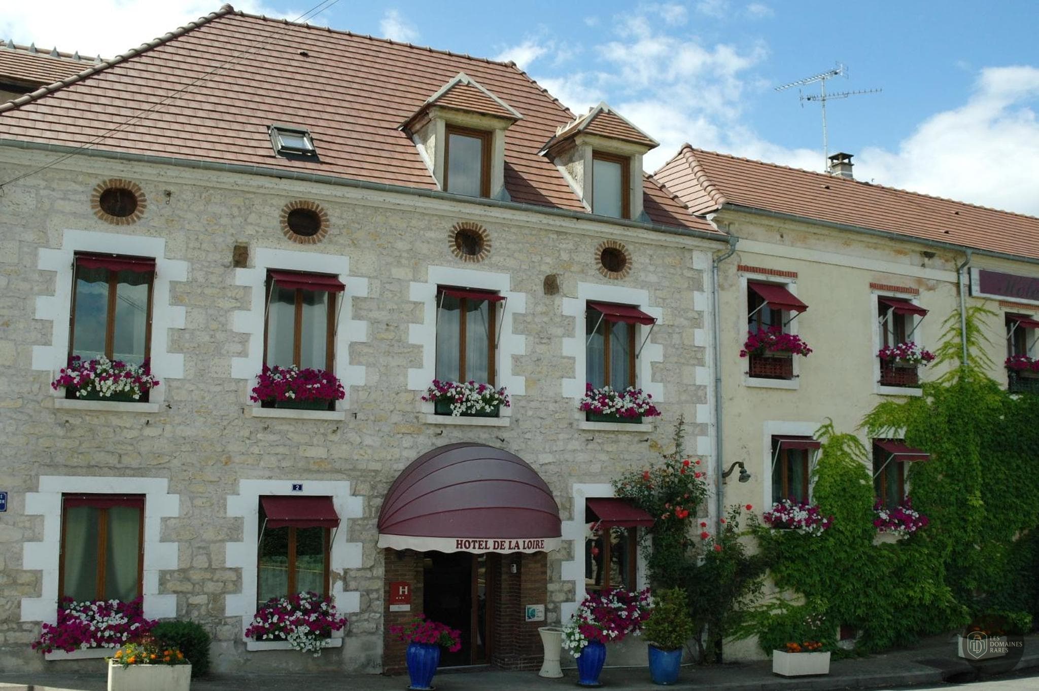 Vue de l'hôtel Hôtel de la Loire en Pays de la Loire