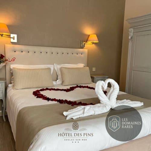 Chambre avec décoration romantique