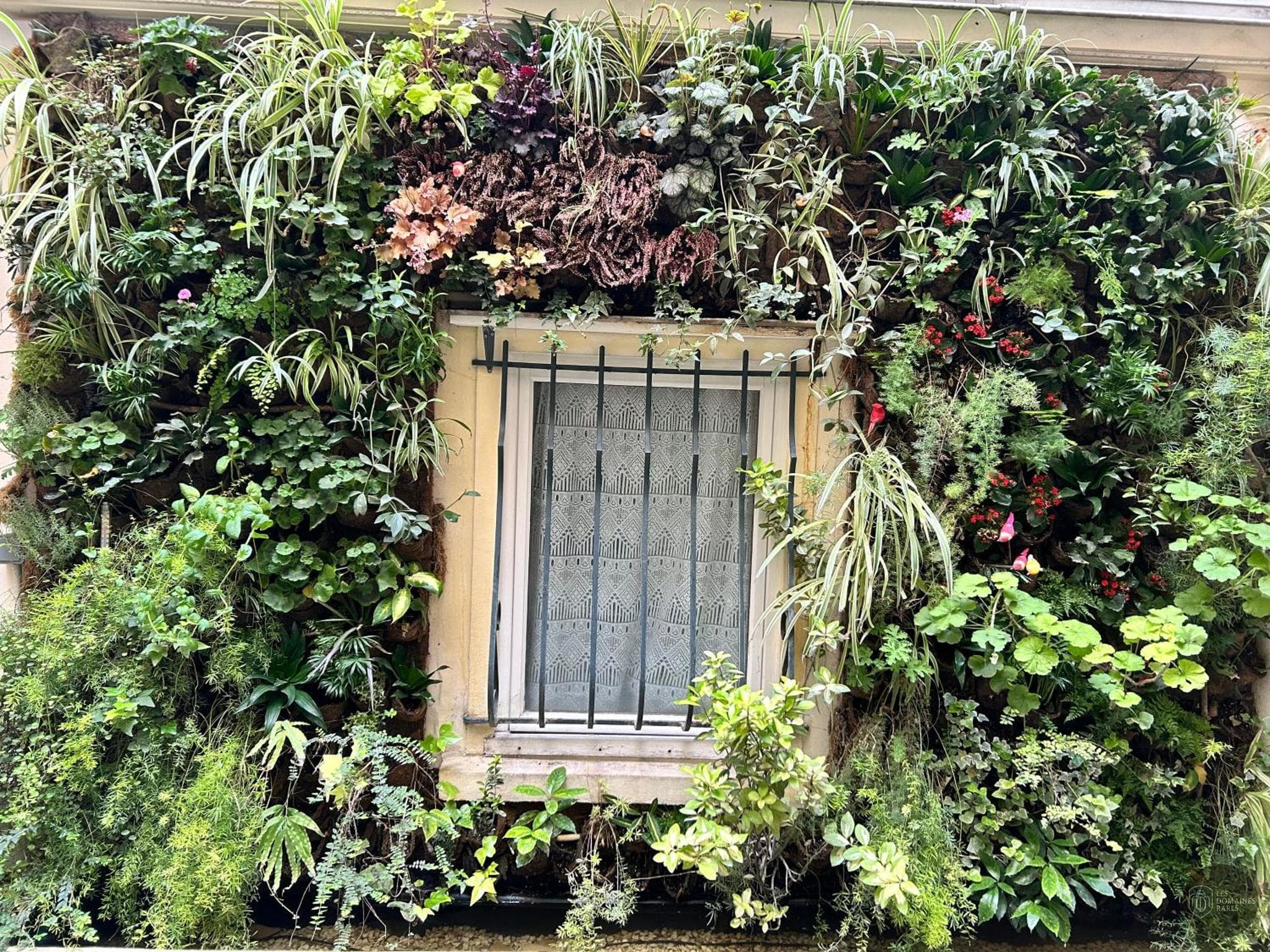 Vue extérieure de l'hôtel Hôtel du Dragon à Strasbourg en Grand Est