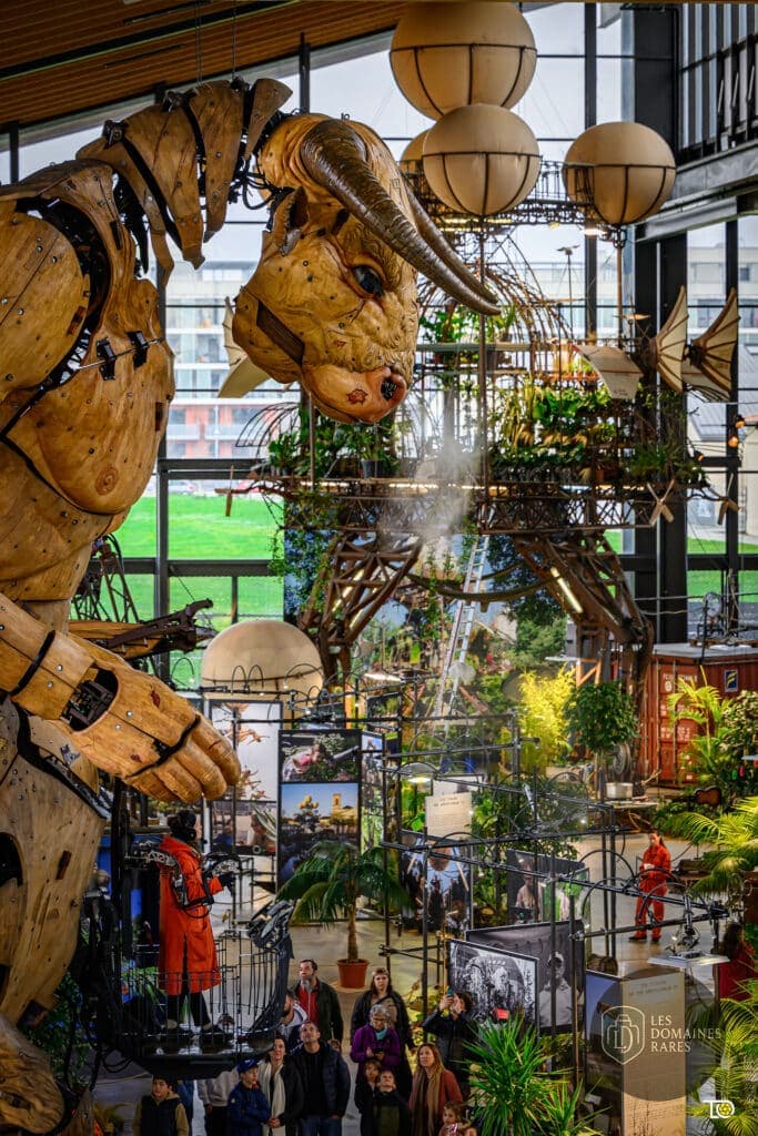 Espace intérieur de la ferme Halle de la Machine à Toulouse en Occitanie