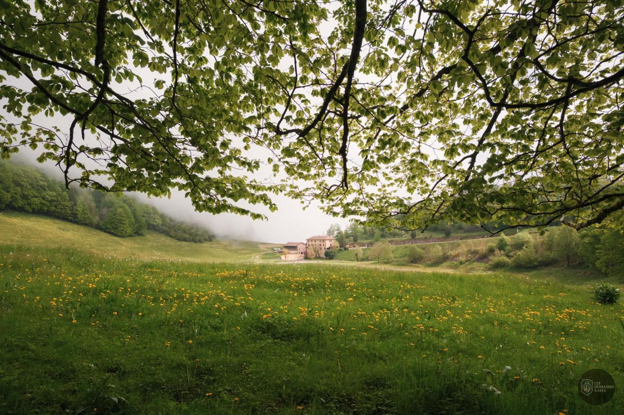 Vue de l'auberge Hostel Quartier Libre en Auvergne-Rhône-Alpes