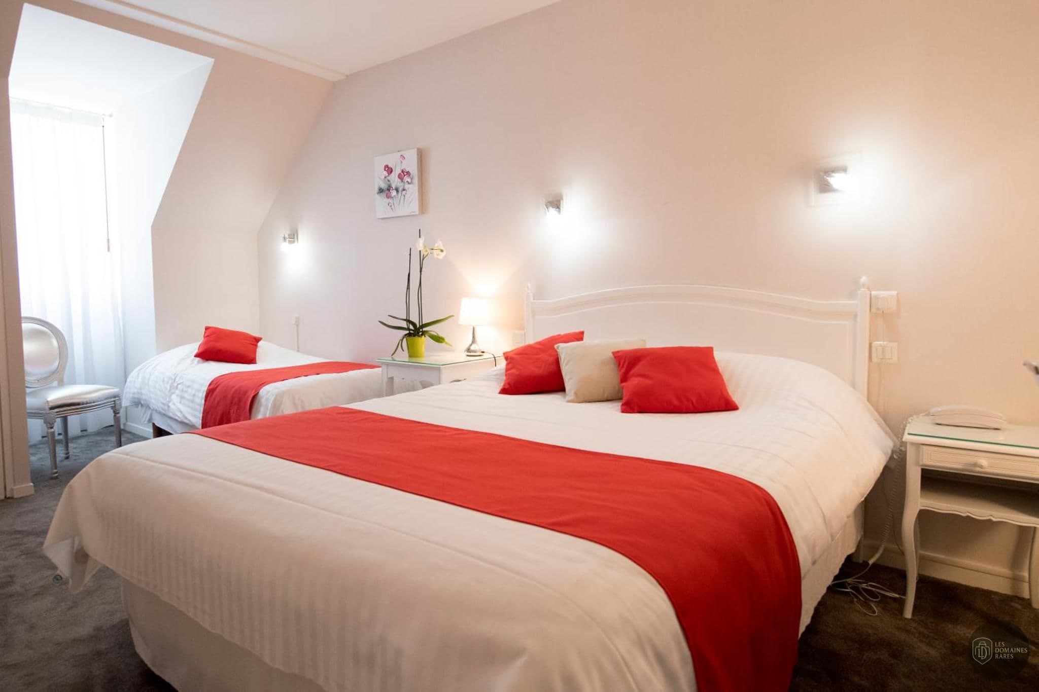 Chambre de l'hôtel Hotel Biney à Rodez en Occitanie