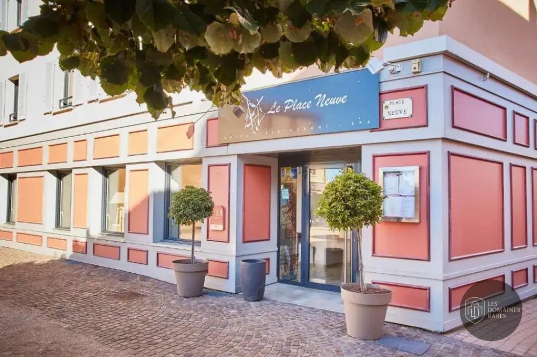 Vue extérieure de l'hôtel Hotel Le Place Neuve à Brullioles en Auvergne-Rhône-Alpes