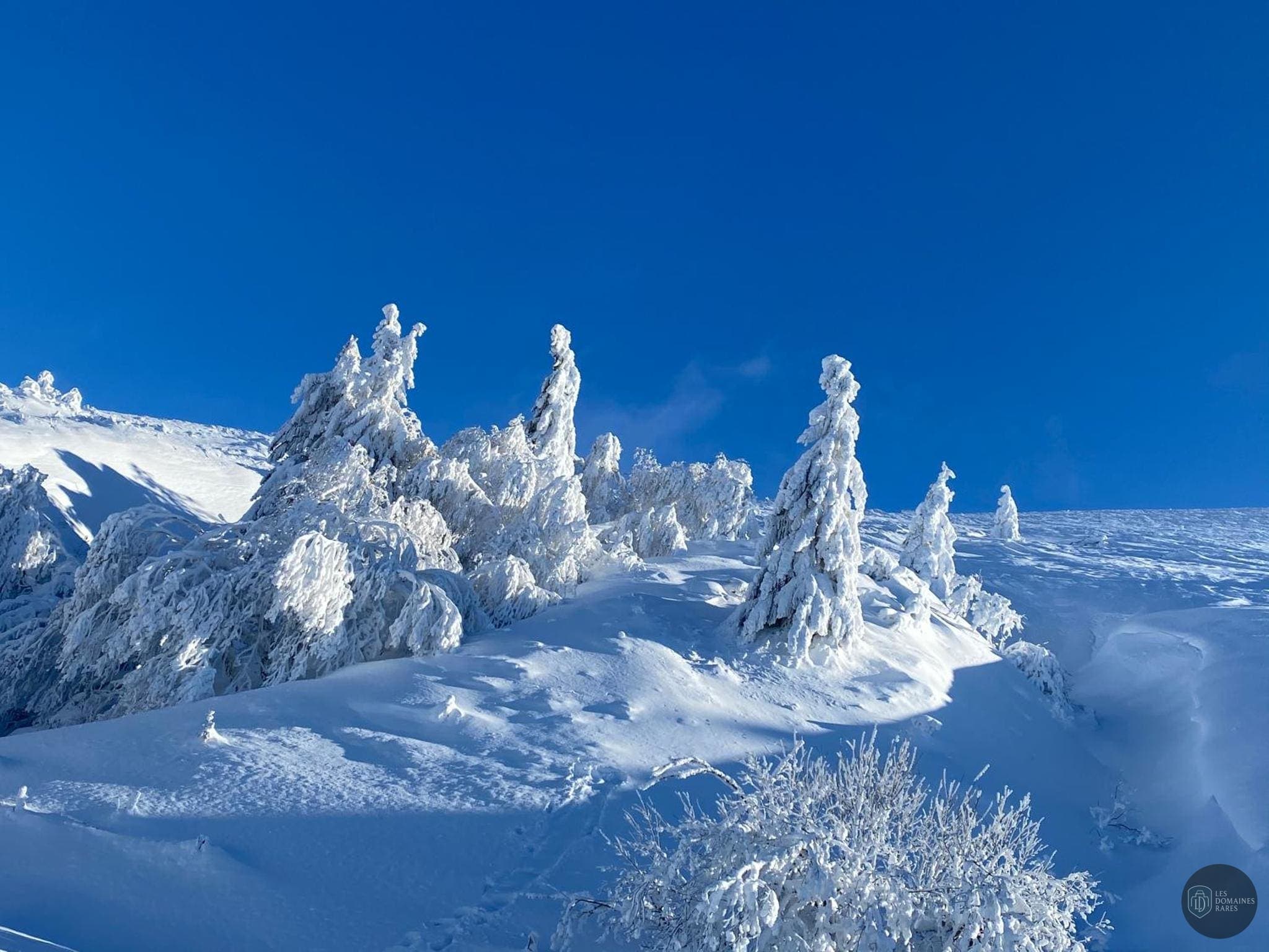 Vue extérieure de l'hôtel Hotel Les Mouflons en Auvergne-Rhône-Alpes