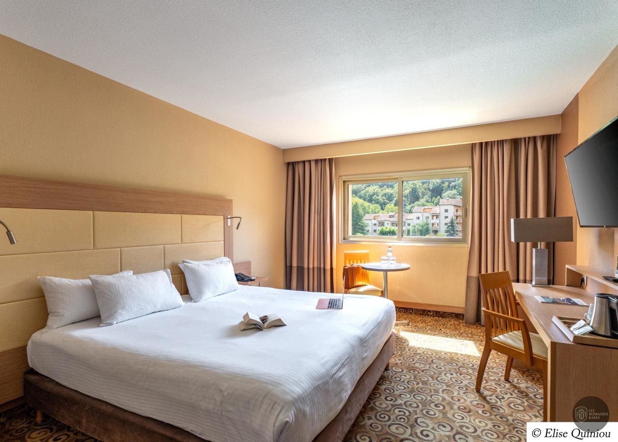 Chambre de l'hôtel Hotel Lyon Metropole en Auvergne-Rhône-Alpes - séminaire rhône (69)