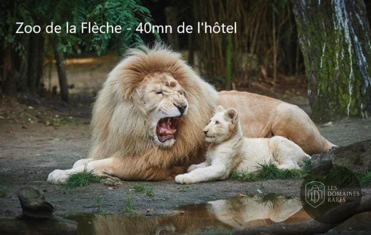 Vue extérieure de l'hôtel Hotel Ricordeau à Loué en Pays de la Loire