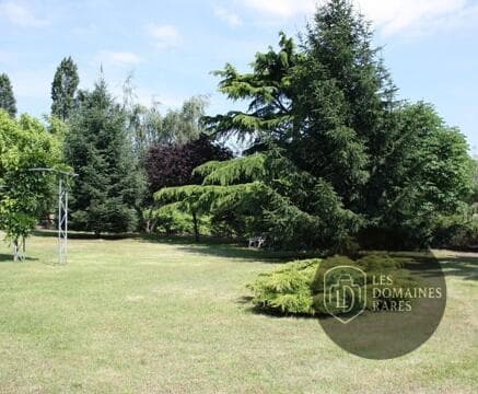 Jardin avec arbres et pelouse