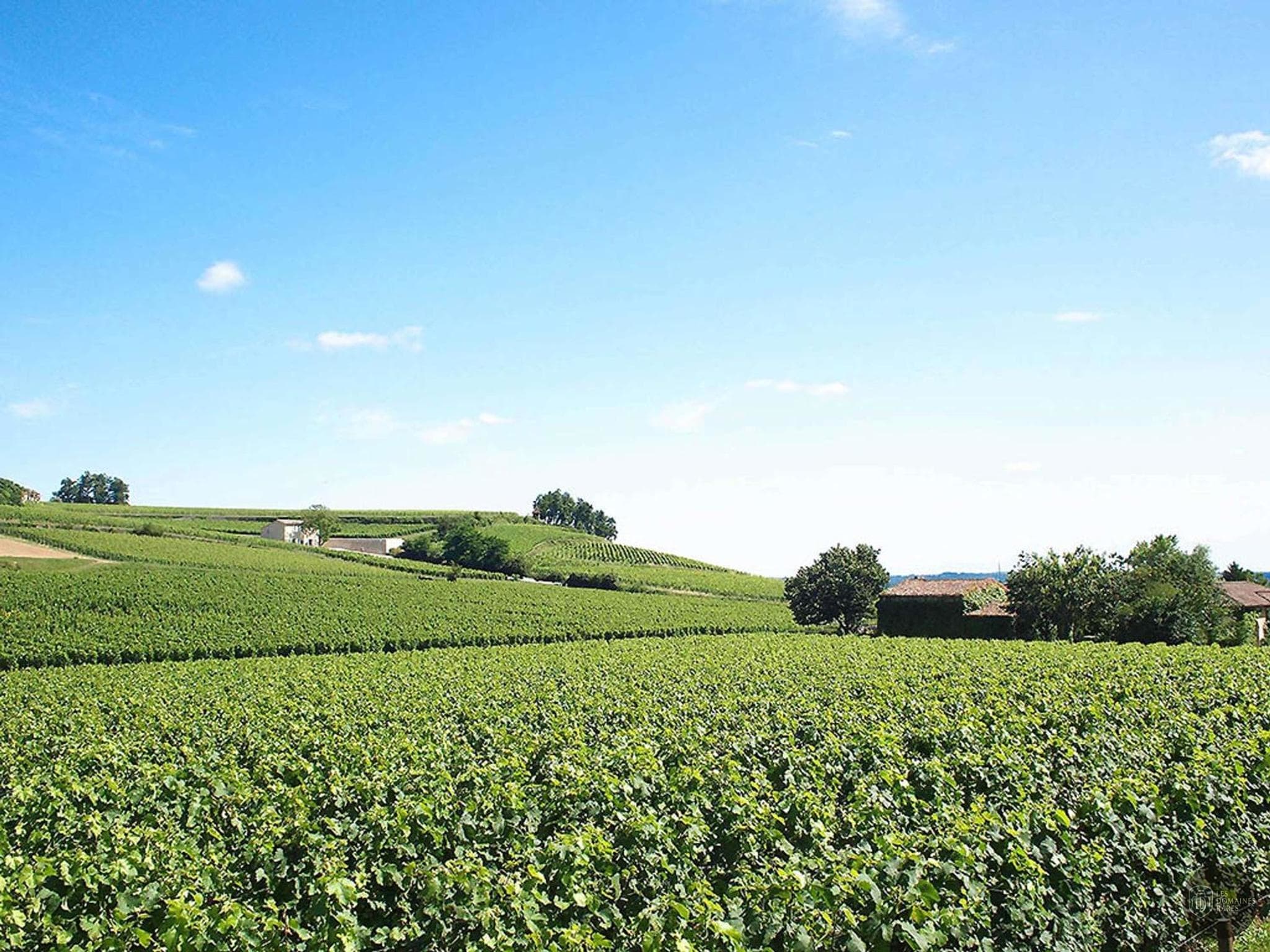 Vue extérieure de l'hôtel Ibis Saint-Emilion en Nouvelle-Aquitaine
