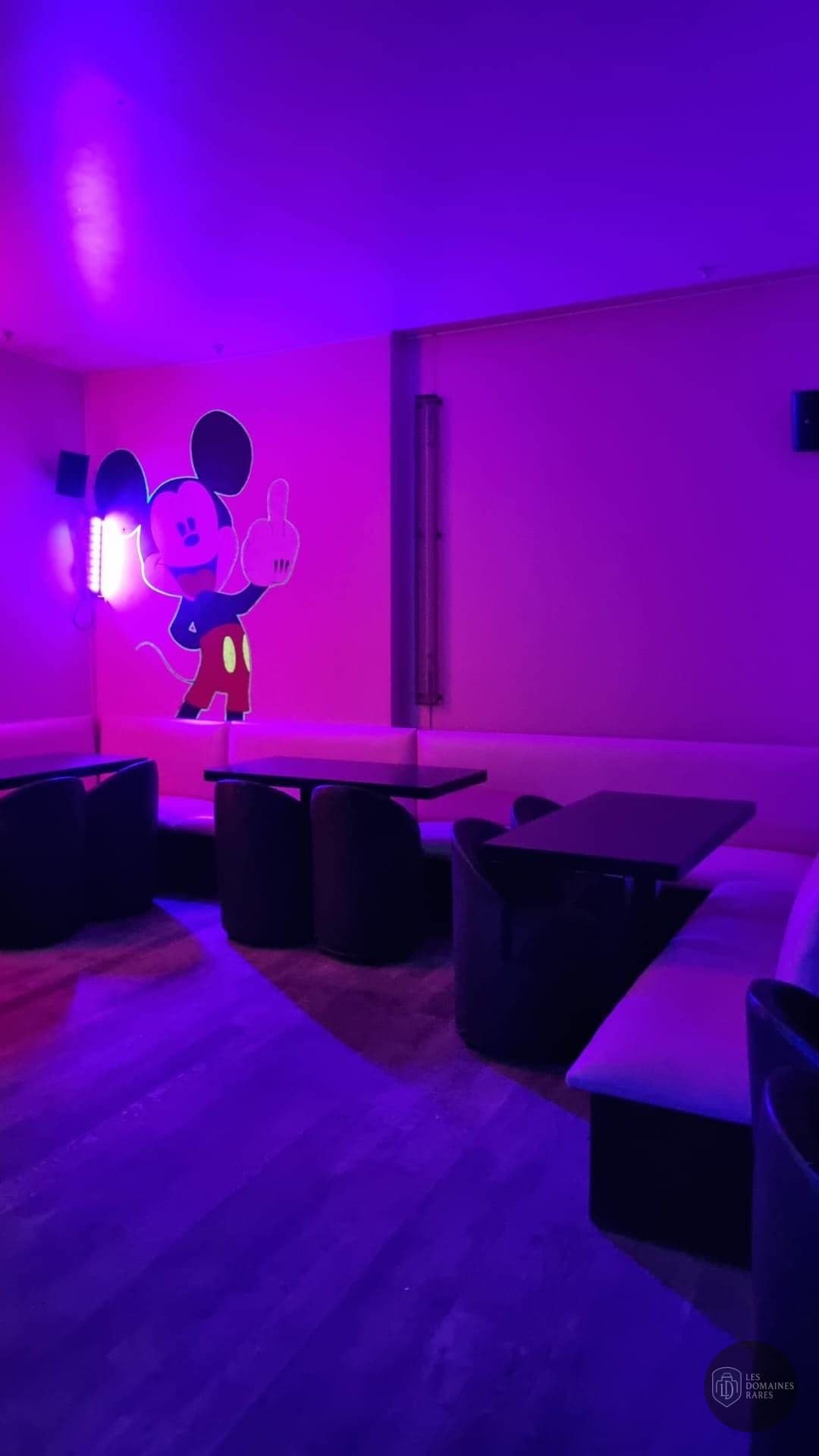 Salon avec néon Mickey Mouse