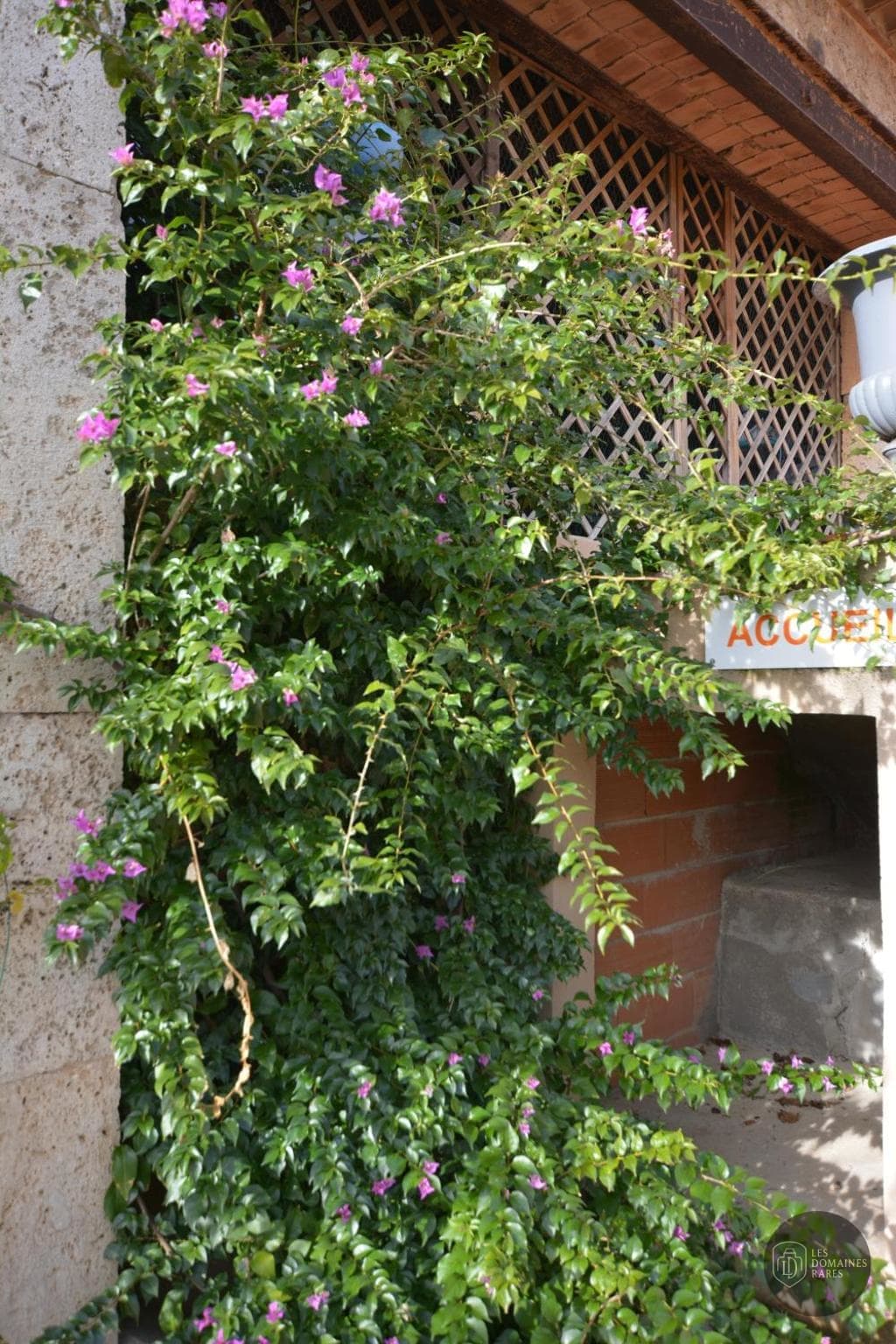 Jardins et Saveurs — Extérieur